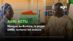 Agri Actu : Mangue au Burkina, le projet GMBL renforce les acteurs