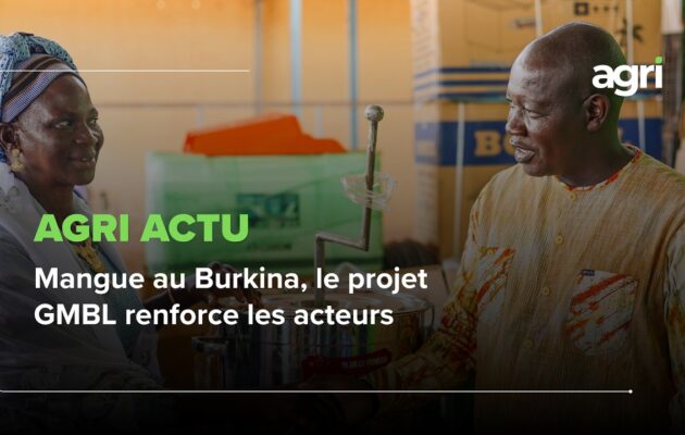 Agri Actu : Mangue au Burkina, le projet GMBL renforce les acteurs