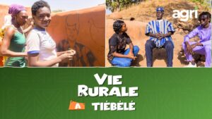 Teaser : Vie Rurale à Tiébélé