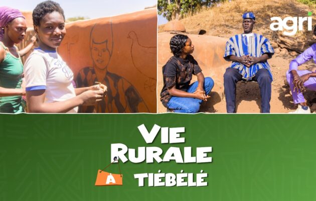 Teaser : Vie Rurale à Tiébélé