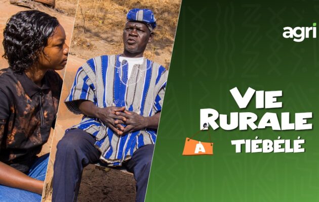 Vie Rurale à Tiébélé