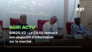 Agri Actu : SIM2G-V2, le CILSS renforce son dispositif d’information sur le marché